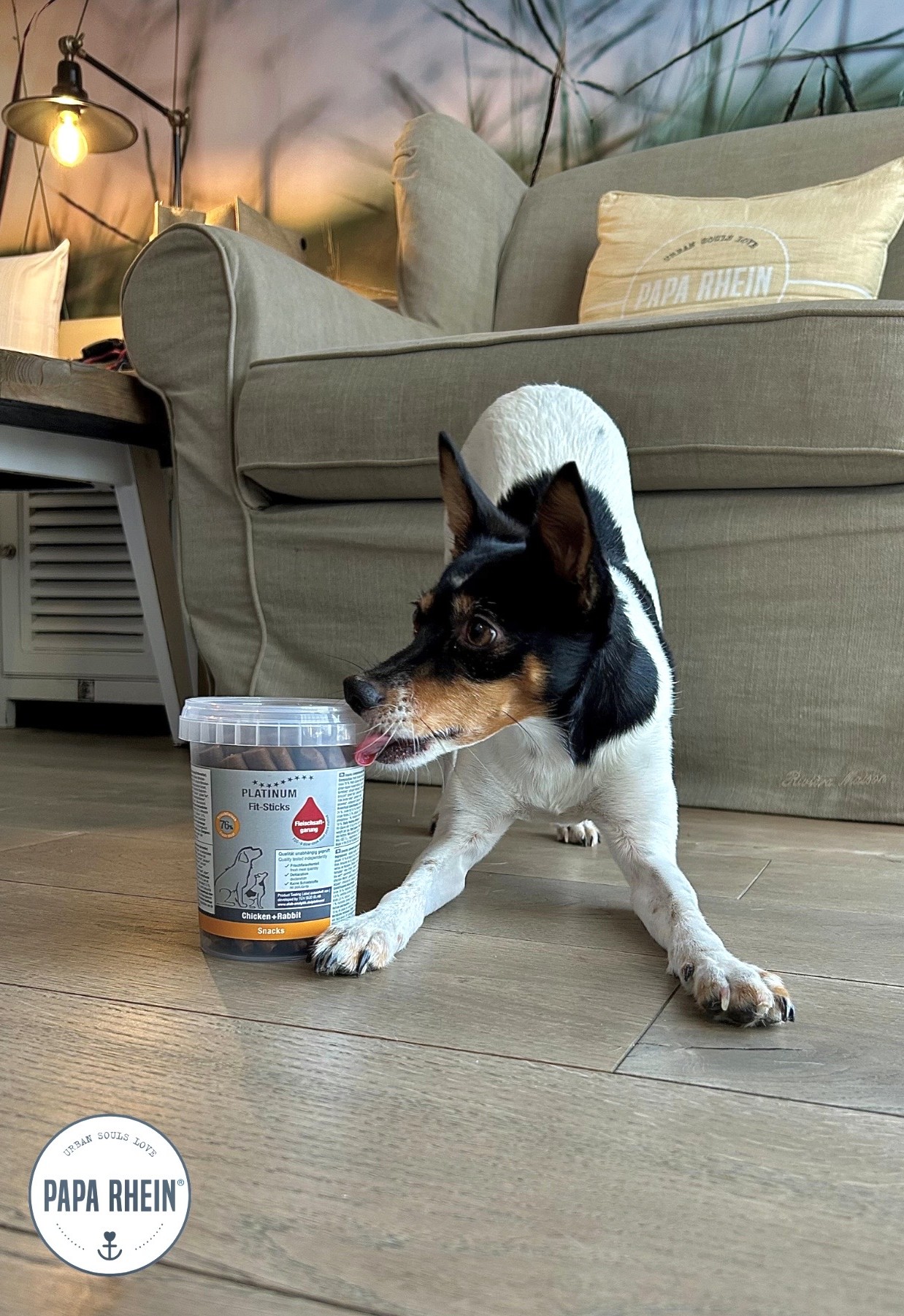 Hund2.jpeg