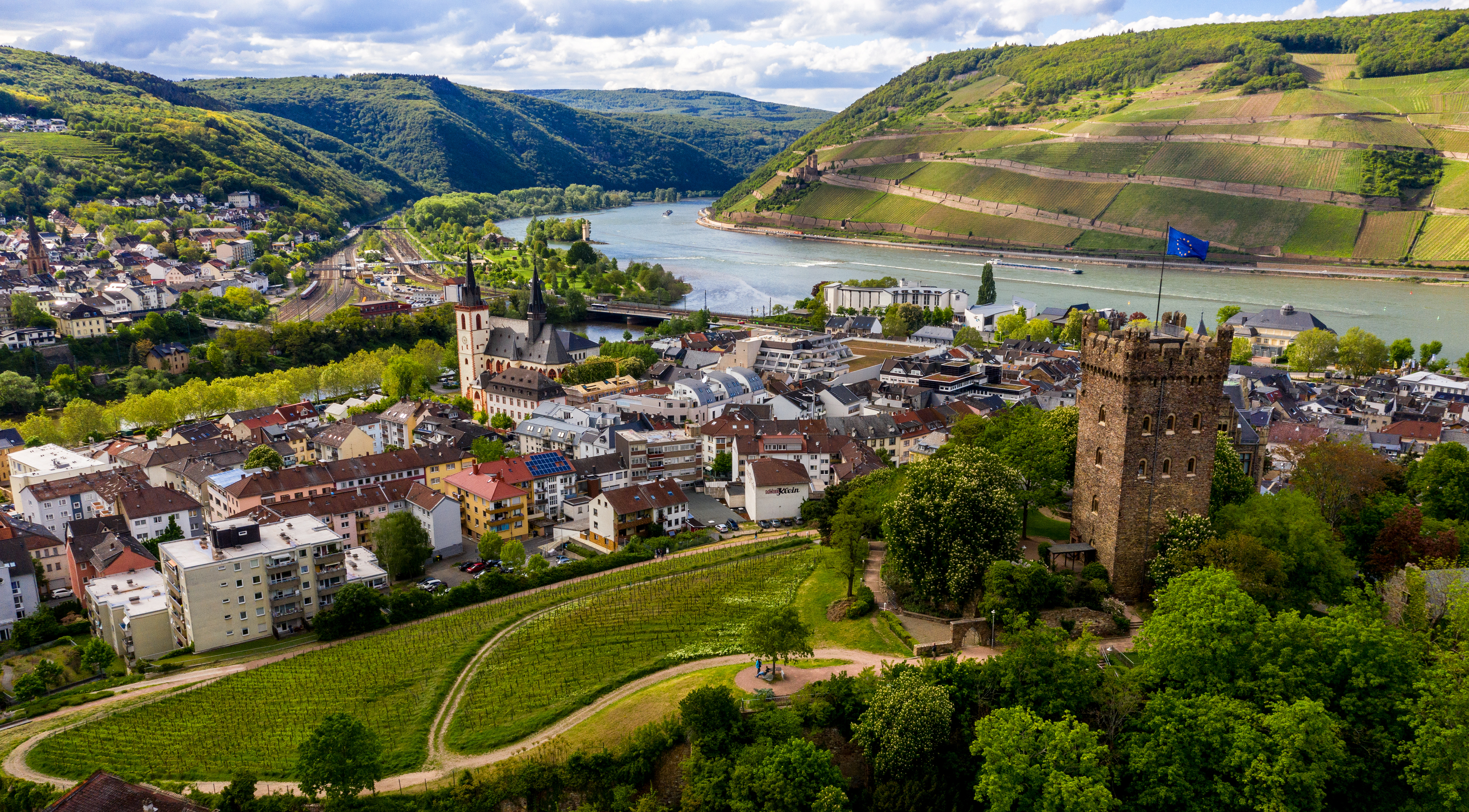 Burg Klopp_Rheinpanorama_Weinberg_Torsten Silz.jpg