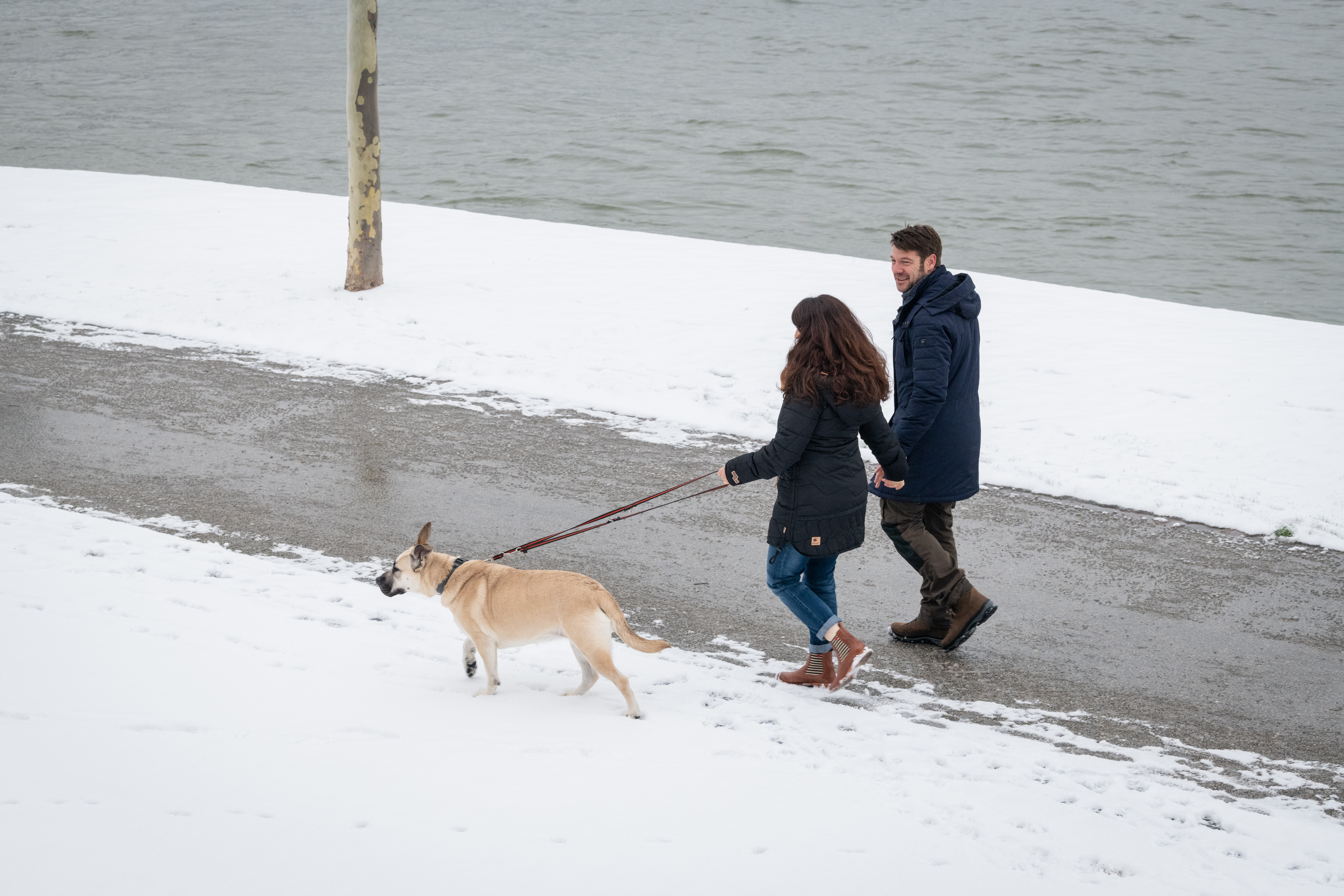 Papa Rhein-2021-159-Hunde.jpg