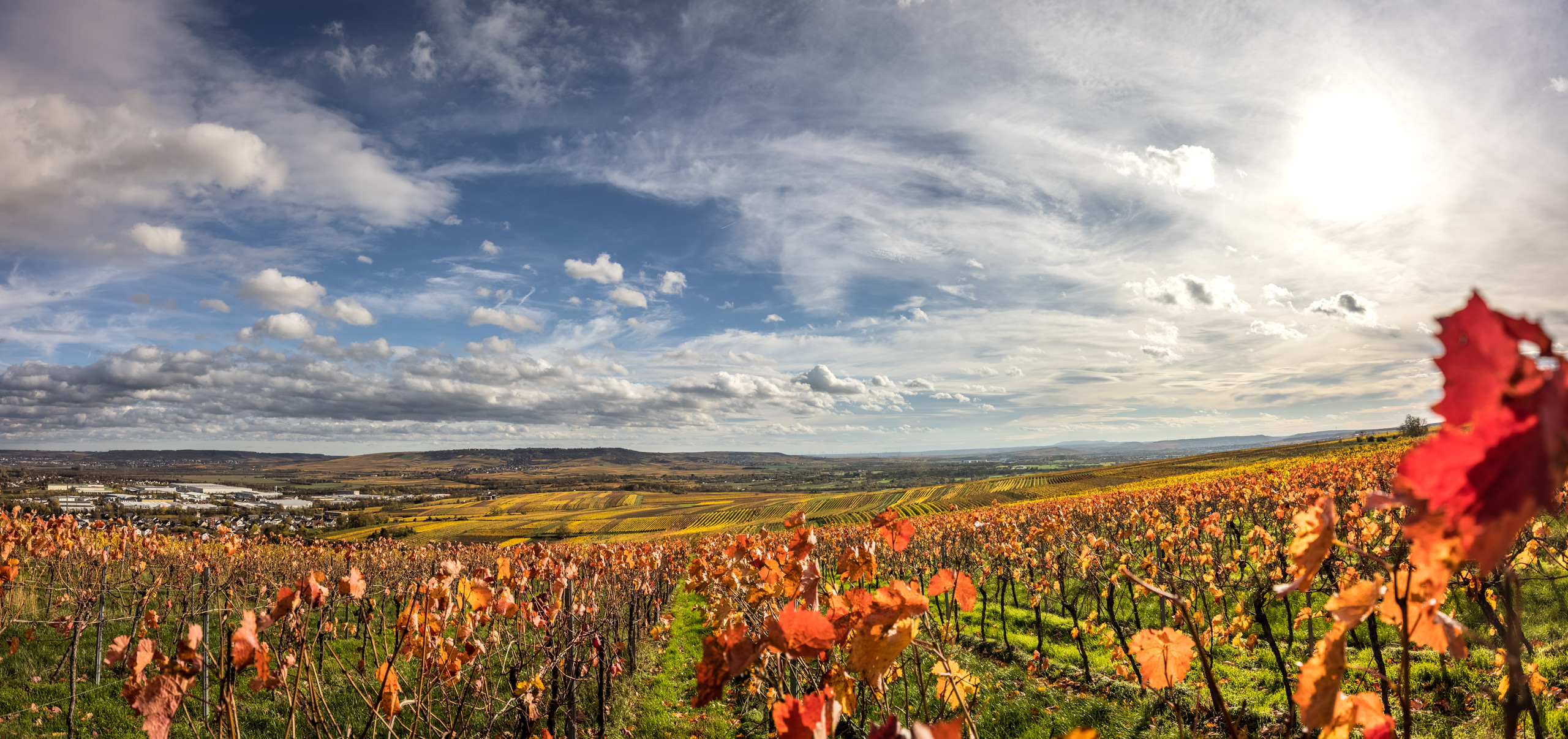 Papa Rhein-2020-098-Herbstmoods.jpg