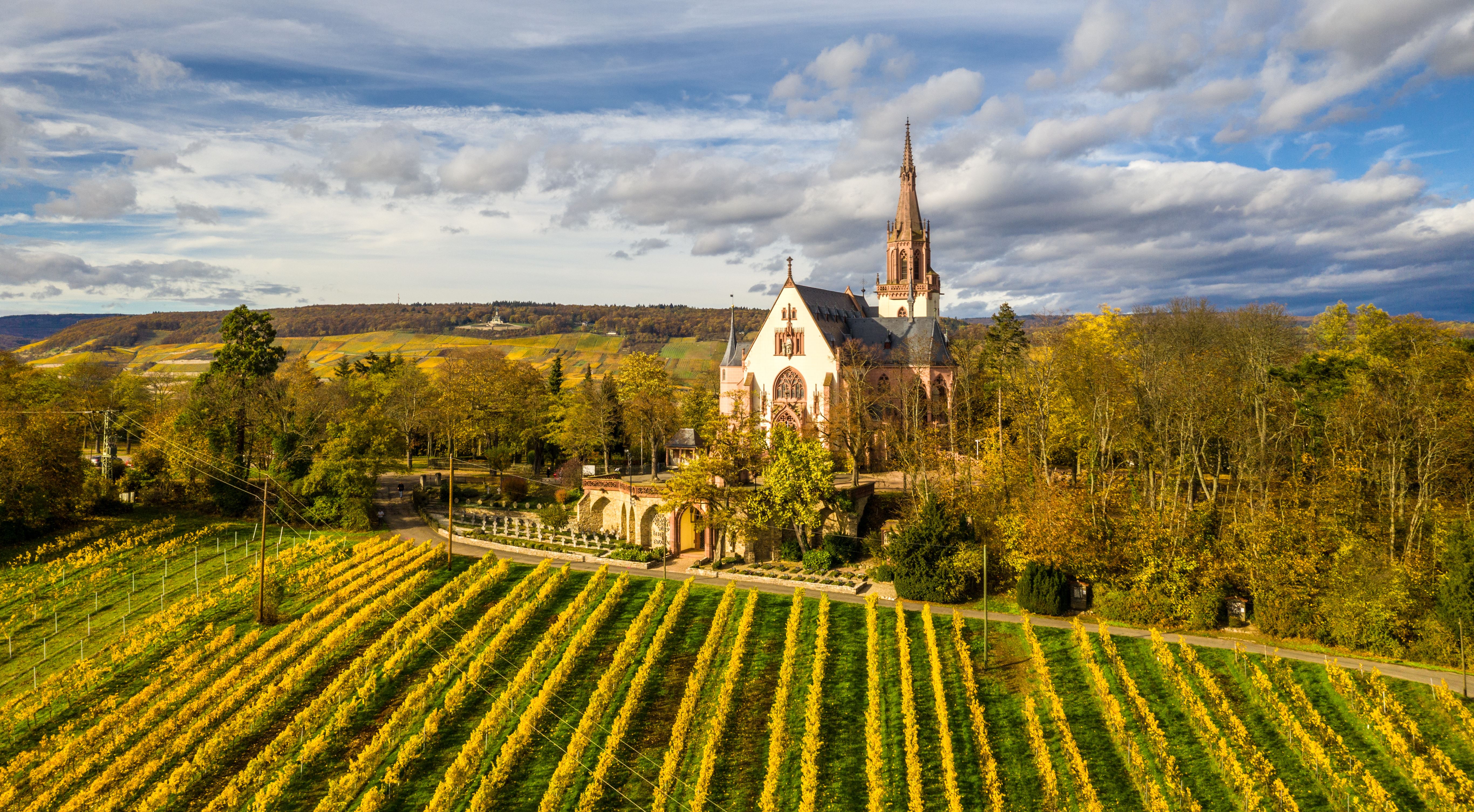 Papa Rhein-2020-084-Herbstmoods.jpg